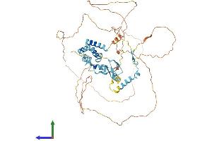 AlphaFold protein structure predicition of Mouse Recombinant Med26 Protein, UniprotID Q7TN02