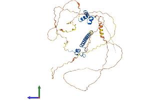 AlphaFold protein structure predicition of Mouse Recombinant Dmrta1 Protein, UniprotID Q8CFG4