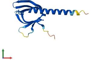 Protein Structure (PS) image for Pleckstrin Homology-Like Domain, Family A, Member 3 (PHLDA3) (AA 1-127) protein (His tag) (ABIN7550711)
