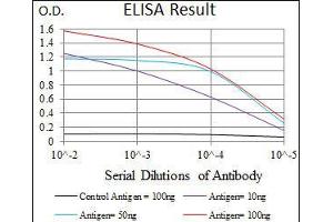 Black line: Control Antigen (100 ng), Purple line: Antigen(10 ng), Blue line: Antigen (50 ng), Red line: Antigen (100 ng), (BPIFB1 antibody  (AA 248-475))