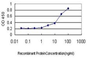Detection limit for recombinant GST tagged SERPINA12 is approximately 3ng/ml as a capture antibody. (SERPINA12 antibody  (AA 1-414))
