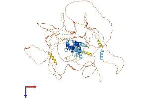 E2F7 Protein (AA 1-911) (His tag)
