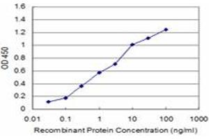 Detection limit for recombinant GST tagged PRKAR2A is approximately 0. (PRKAR2A antibody  (AA 1-105))