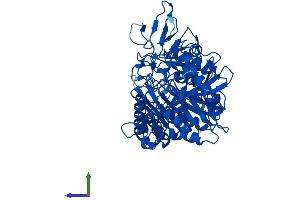 Protein Structure (PS) image for phosphoenolpyruvate Carboxykinase 1 (Soluble) (PCK1) (AA 1-622) protein (His tag) (ABIN7550558)