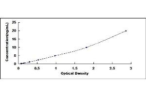 Typical standard curve (VAT1 ELISA Kit)