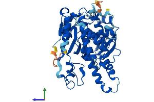 AlphaFold protein structure predicition of Mouse Recombinant Jmjd4 Protein, UniprotID Q8BFT6