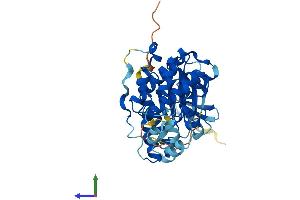 AlphaFold protein structure predicition of Mouse Recombinant Mapk12 Protein, UniprotID O08911 (MAPK12 Protein (AA 1-367) (His tag))