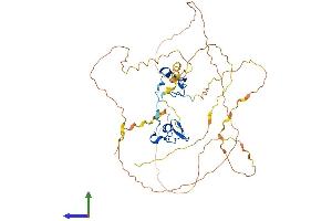 AlphaFold protein structure predicition of Mouse Recombinant Gata2 Protein, UniprotID O09100