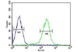 SMAD6 antibody flow cytometric analysis of HepG2 cells (right histogram) compared to a negative control (left histogram). (SMAD6 antibody  (AA 358-386))