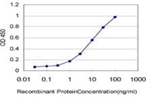 Detection limit for recombinant GST tagged SYNJ1 is approximately 0. (Synaptojanin 1 antibody  (AA 1474-1573))