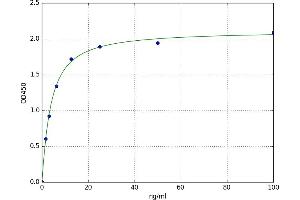 A typical standard curve (Mitogen-Activated Protein Kinase (MAPK) ELISA Kit)