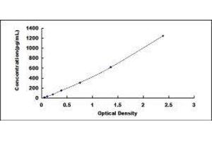 Carcinoembryonic Antigen Gene Family (CEA) ELISA Kit