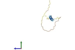AlphaFold protein structure predicition of Mouse Recombinant Manbal Protein, UniprotID Q9D8X0 (MANBAL Protein (AA 1-85) (Fc Tag))