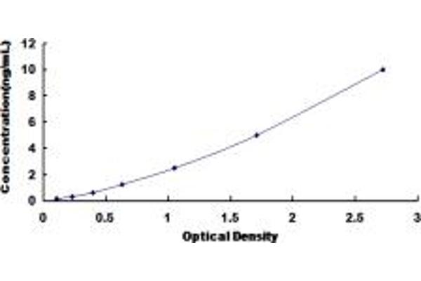 CD90 ELISA Kit