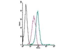 Cell surface detection of Plexin-C1 by direct flow cytometry in live intact human  monocytic leukemia cell line: + Rabbit IgG isotype control-FITC.