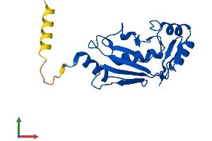 Protein Structure (PS) image for Ubiquitin-Conjugating Enzyme E2M (ube2m) (AA 1-183) protein (His tag) (ABIN7544985)