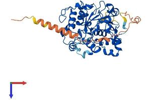 ST6GALNAC2 Protein (AA 1-374) (His tag)