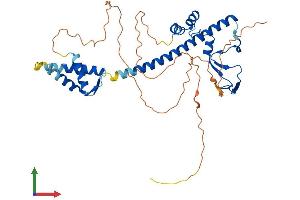 Protein Structure (PS) image for Transcription Factor Dp Family, Member 3 (TFDP3) (AA 1-405) protein (His tag) (ABIN7544249)