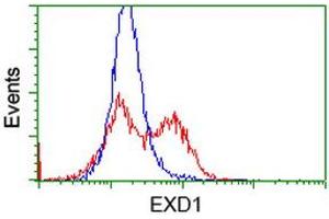 HEK293T cells transfected with either RC206223 overexpress plasmid (Red) or empty vector control plasmid (Blue) were immunostained by anti-EXD1 antibody (ABIN2453984), and then analyzed by flow cytometry. (EXD1 antibody)