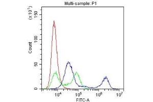 Flow Cytometry analysis of Raji cells using anti-CD22 antibody . (CD22 antibody  (C-Term))