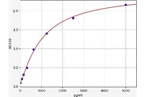 Typical standard curve (CSNK2A2 ELISA Kit)