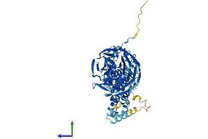 AlphaFold protein structure predicition of Human Recombinant IPP Protein, UniprotID Q9Y573 (IPP Protein (AA 1-584) (His tag))