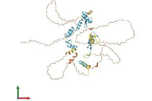 Protein Structure (PS) image for IKAROS Family Zinc Finger 2 (IKZF2) (AA 1-526) protein (His tag) (ABIN7556746)