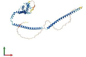 AlphaFold protein structure predicition of Human Recombinant CLUAP1 Protein, UniprotID Q96AJ1 (CLUAP1 Protein (AA 1-413) (His tag))