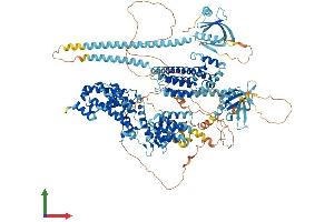 AlphaFold protein structure predicition of Mouse Recombinant Rasgrf1 Protein, UniprotID P27671 (RASGRF1 Protein (AA 1-1262) (His tag))