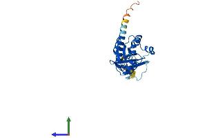 AlphaFold protein structure predicition of Human Recombinant RHOV Protein, UniprotID Q96L33