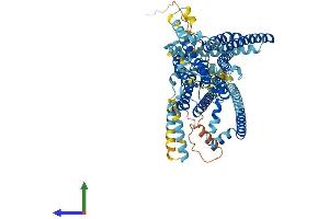 AlphaFold protein structure predicition of Human Recombinant TMC4 Protein, UniprotID Q7Z404