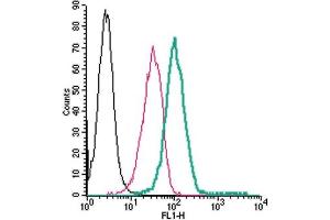 Cell surface detection of TRPM2 by direct flow cytometry in live intact human  monocytic leukemia cells: + Rabbit IgG isotype control-FITC.