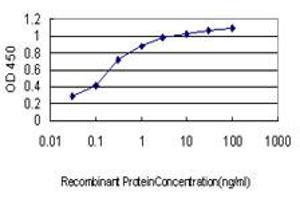 Detection limit for recombinant GST tagged LTBP2 is approximately 0.