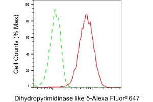 Flow cytometric analysis of Dihydropyrimidinase like 5 expression in HAP-1 cells using Dihydropyrimidinase like 5 antibody (ABIN7798340), 1:2,000).