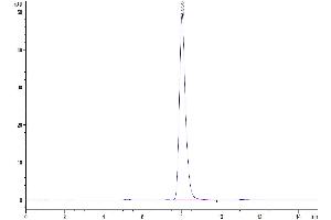 The purity of Human EPHA4 is greater than 95 % as determined by SEC-HPLC. (EPH Receptor A4 Protein (EPHA4) (AA 20-547) (His tag))