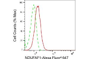 Flow cytometric analysis of NDUFAF1 expression in HepG2 cells using NDUFAF1 antibody (ABIN7799544), 1:2,000).