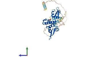 AlphaFold protein structure predicition of Mouse Recombinant Mageb18 Protein, UniprotID Q8BQR7 (MAGEB18 Protein (AA 1-327) (His tag))