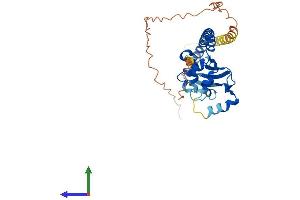 Protein Structure (PS) image for Testis Specific Protein, Y-Linked 4 (TSPY4) (AA 1-314) protein (His tag) (ABIN7544847)