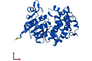 AlphaFold protein structure predicition of Human Recombinant GPD1L Protein, UniprotID Q8N335 (GPD1L Protein (AA 1-351) (His tag))