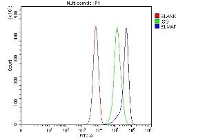 anti-Sarcolemma Associated Protein (SLMAP) (AA 25-607) antibody