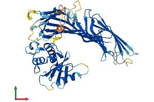 AlphaFold protein structure predicition of Mouse Recombinant Ap4m1 Protein, UniprotID Q9JKC7 (AP4M1 Protein (AA 1-449) (His tag))