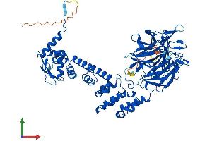 AlphaFold protein structure predicition of Human Recombinant KLHL9 Protein, UniprotID Q9P2J3
