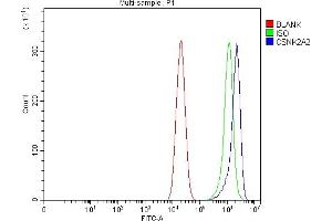 Flow Cytometry analysis of Caco-2 cells using anti-CSNK2A2 antibody (ABIN7602871). (CSNK2A2 antibody  (C-Term))