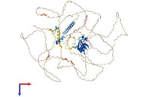 AlphaFold protein structure predicition of Human Recombinant R3HCC1L Protein, UniprotID Q7Z5L2 (GIDRP88 Protein (AA 1-792) (His tag))