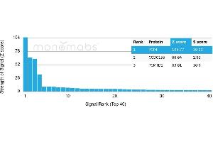 Protein Array (PAr) image for anti-Purkinje Cell Protein 4 (PCP4) antibody (ABIN7456002) (PCP4 antibody)
