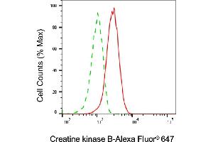 Flow cytometric analysis of Creatine kinase B expression in HAP-1 cells using Creatine kinase B antibody (ABIN7798160), 1:2,000).