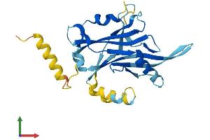 AlphaFold protein structure predicition of Human Recombinant C6orf62 Protein, UniprotID Q9GZU0 (C6ORF62 Protein (AA 1-229) (His tag))