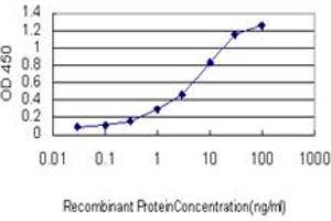 Detection limit for recombinant GST tagged BCL7B is approximately 0. (BCL7B antibody  (AA 124-202))