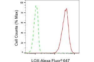 Flow cytometric analysis of LOX expression in HT- cells using LOX antibody (ABIN7799311), 1:2,000). (Recombinant LOX antibody)