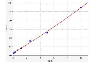 Typical standard curve (PNKD ELISA Kit)